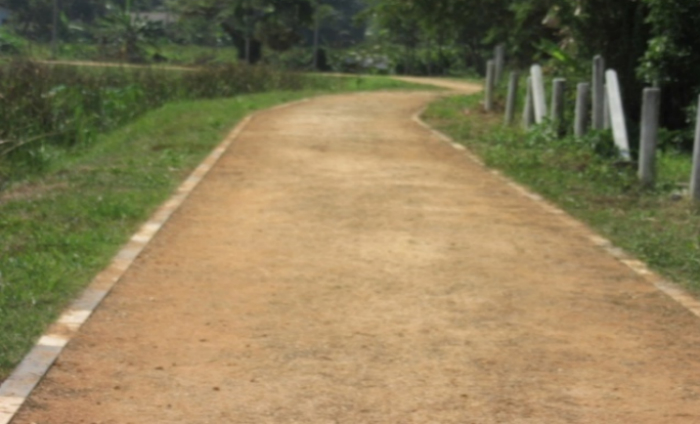planing image 07