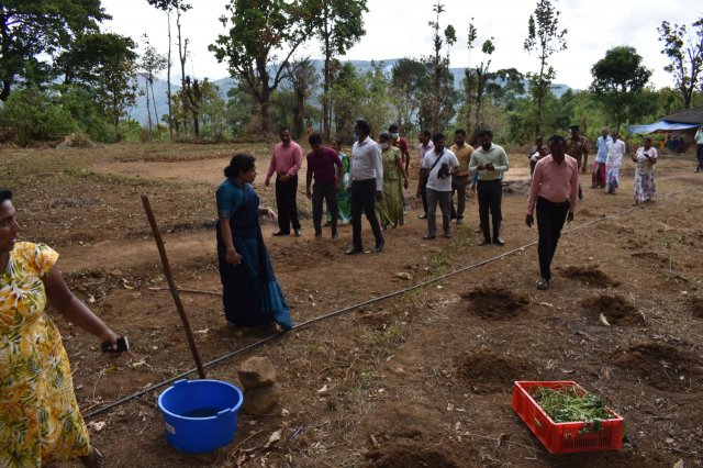 Walapane kandayaya