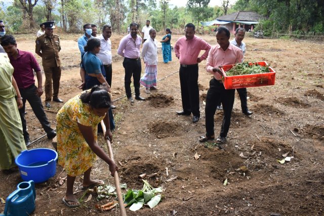 Walapane kandayaya