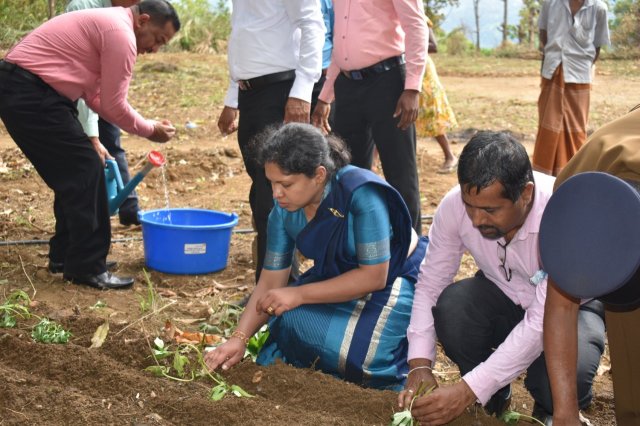 Walapane kandayaya