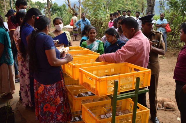 Walapane kandayaya