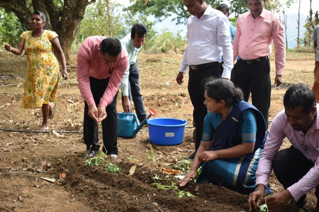 Walapane kandayaya