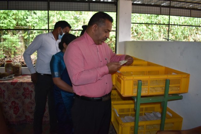 Walapane kandayaya