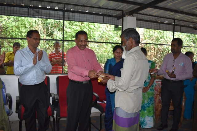 Walapane kandayaya