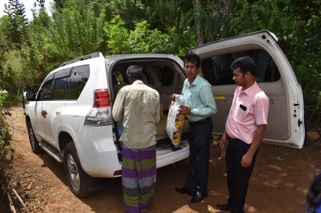Walapane kandayaya