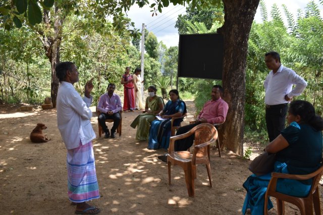 Walapane kandayaya