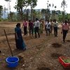 Walapane kandayaya