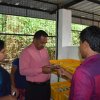 Walapane kandayaya