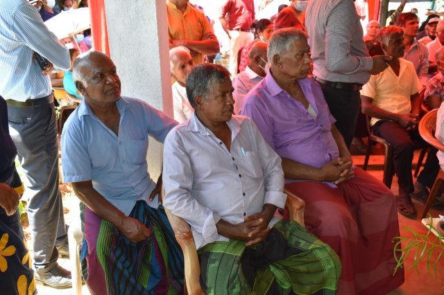 kotmalefsp