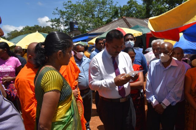 kotmalefsp