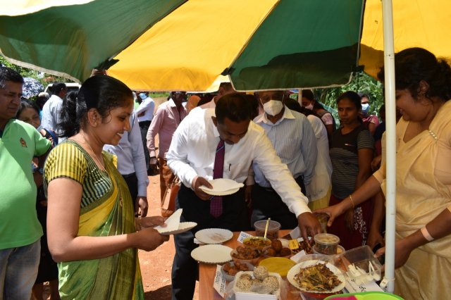 kotmalefsp