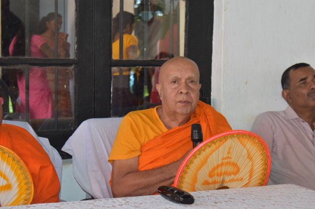 kotmalefsp