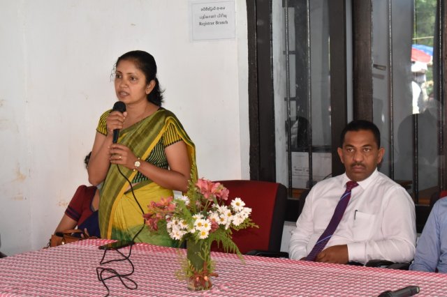 kotmalefsp