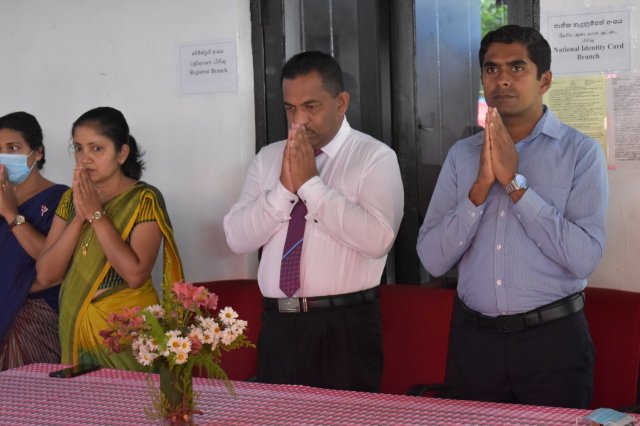 kotmalefsp