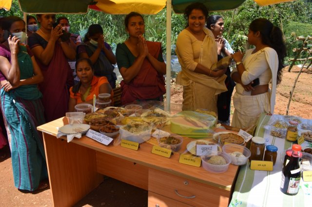 kotmalefsp
