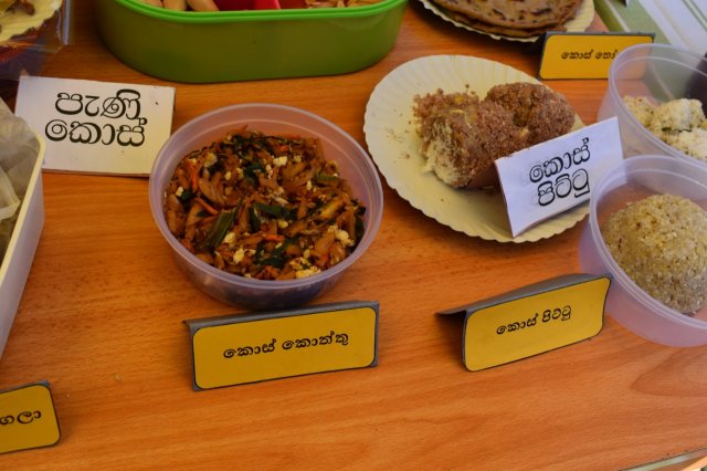 kotmalefsp