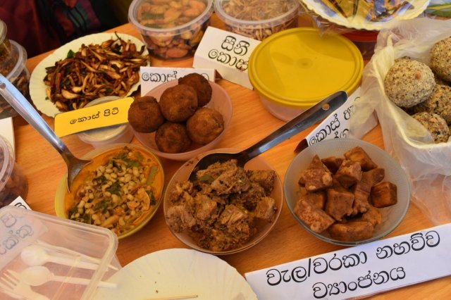 kotmalefsp