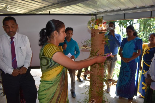 kotmalefsp