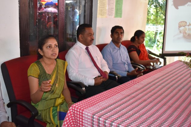 kotmalefsp