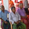 kotmalefsp