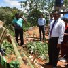 kotmalefsp