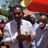 kotmalefsp