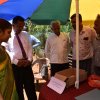 kotmalefsp