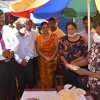 kotmalefsp