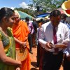 kotmalefsp