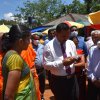 kotmalefsp