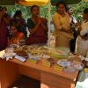kotmalefsp