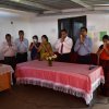 kotmalefsp