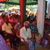 kotmalefsp