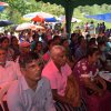 kotmalefsp