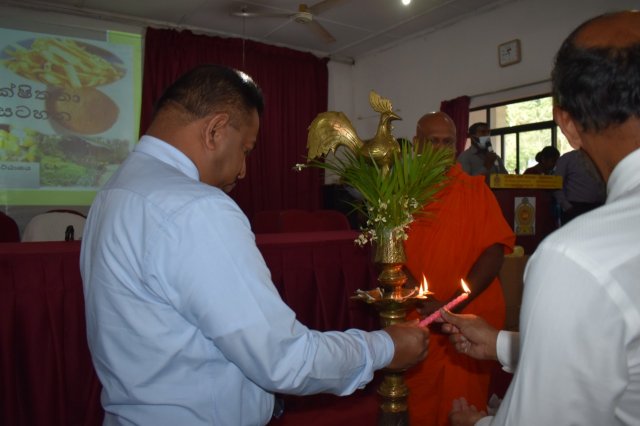 hangurankethafsp