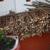 hangurankethafsp