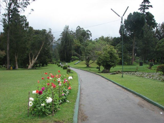 NuwaraEliya_photos