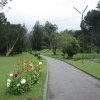 NuwaraEliya_photos